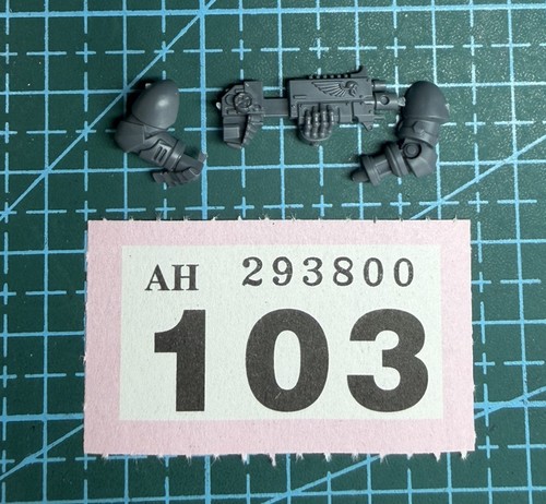Space marine sternguard bionic - marine,